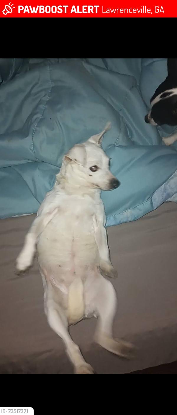Lost Female Dog last seen Regal court, Lawrenceville, GA 30045