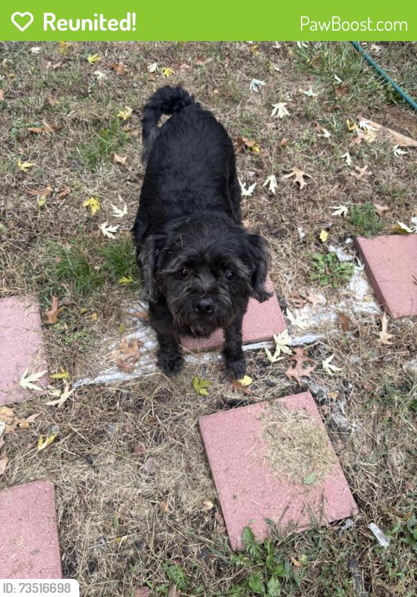Reunited Male Dog last seen Norfleet, Independence, MO 64133