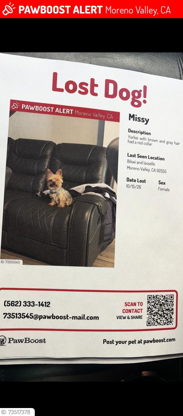 Lost Female Dog last seen Eucalyptus and lassalle, Moreno Valley, CA 92553