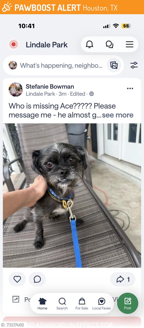 Found/Stray Male Dog last seen Helmers and Graceland, Houston, TX 77009