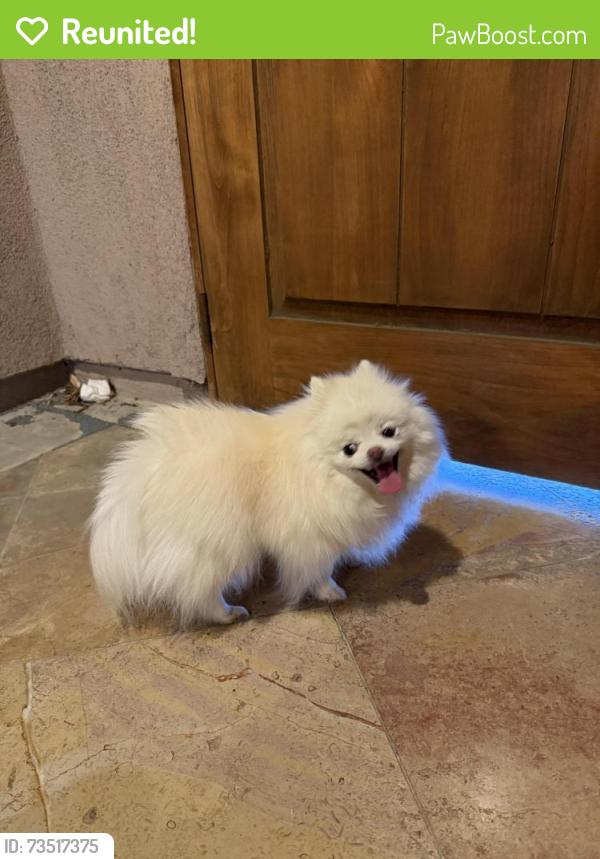 Reunited Unknown Dog last seen Paso Robles, Irvine, CA 92602