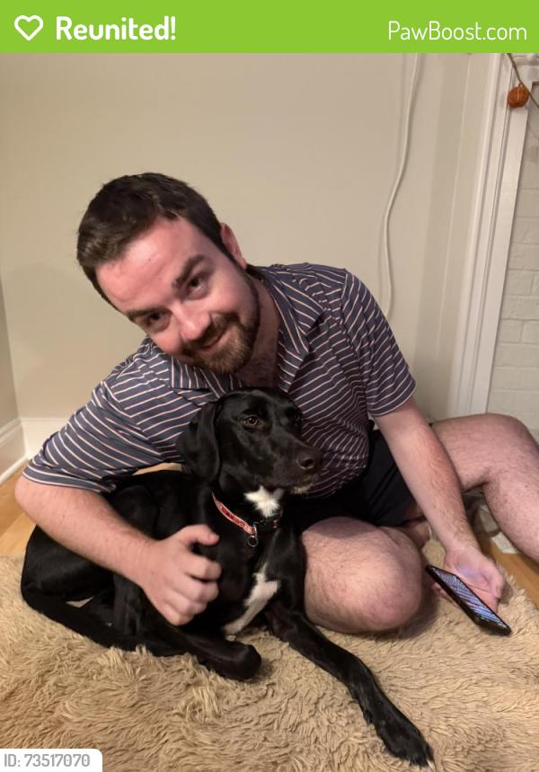 Reunited Female Dog last seen Chinquapin Drive Sw, Marietta, GA 30064