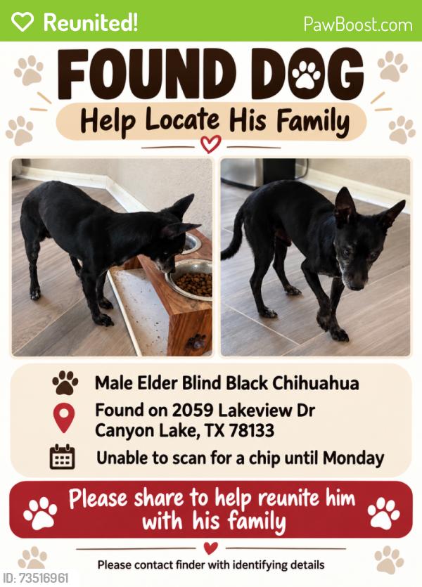 Reunited Male Dog last seen Near Lakeview dr, Canyon Lake, TX 78133