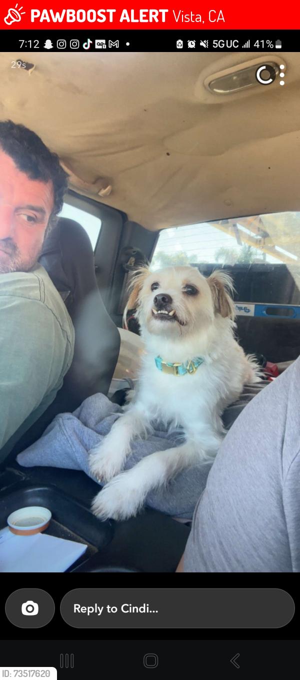 Lost Male Dog last seen Calle jules and bobier, Vista, CA 92084