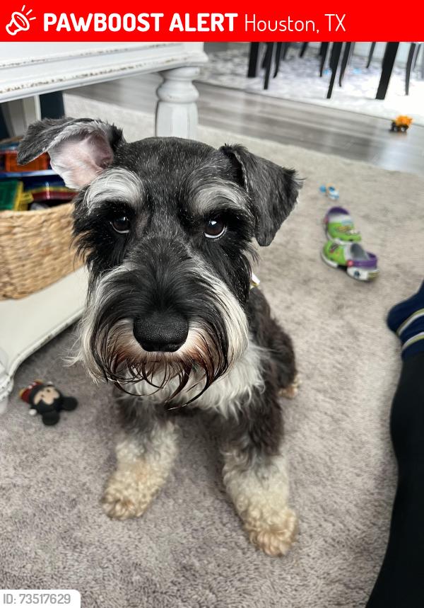 Lost Male Dog last seen Royalwood/Imperial Forest, Houston, TX 77049