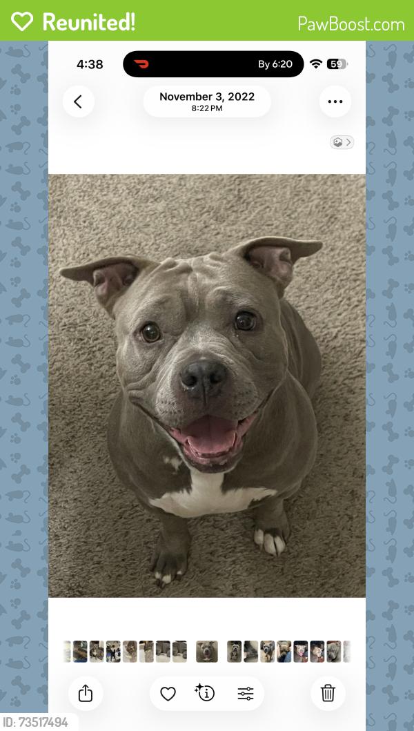 Reunited Female Dog last seen Norberg park, Tulsa, OK 74146