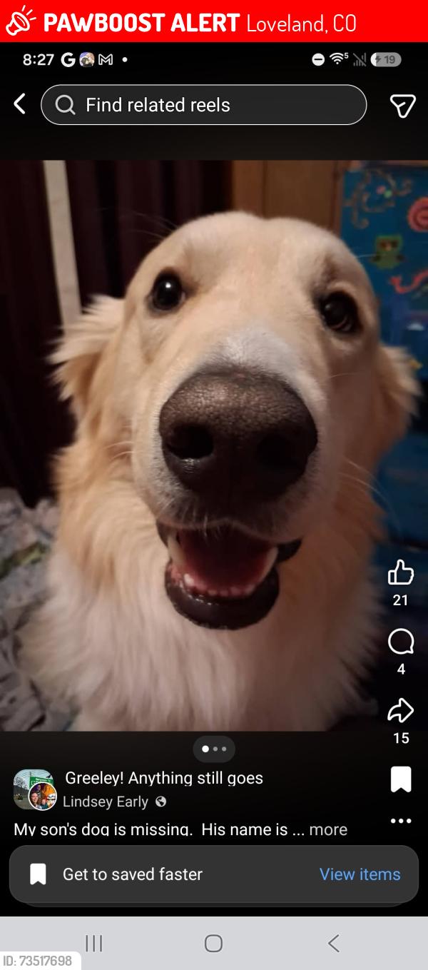 Lost Male Dog last seen Park, Loveland, CO 80537