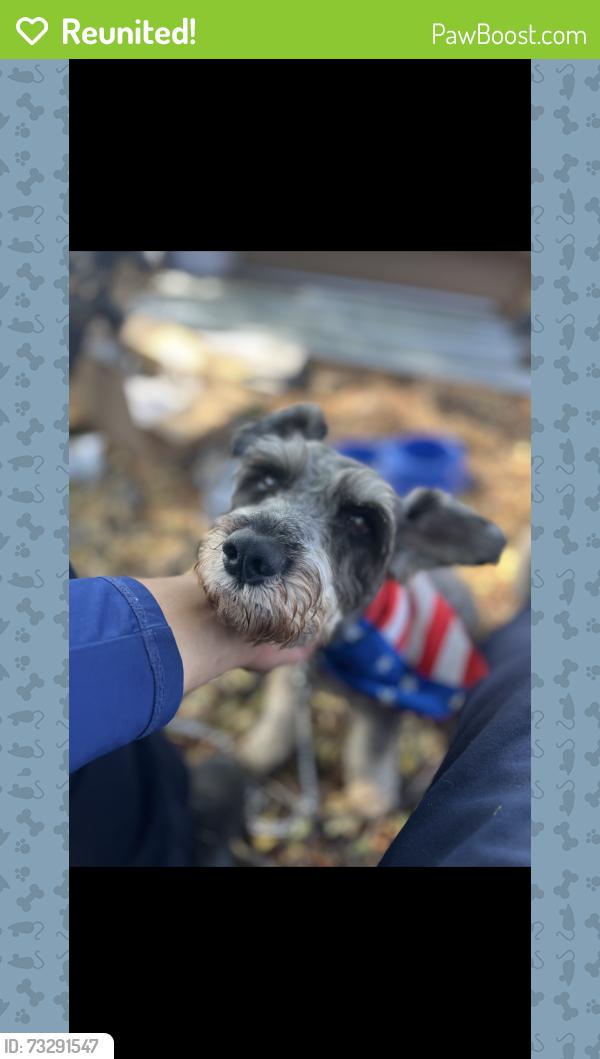 Reunited Male Dog last seen 5th & waterman ave, San Bernardino, CA 92410