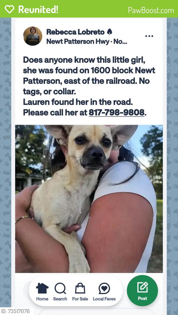 Reunited Female Dog last seen Near newt patterson rd, Mansfield, TX 76063