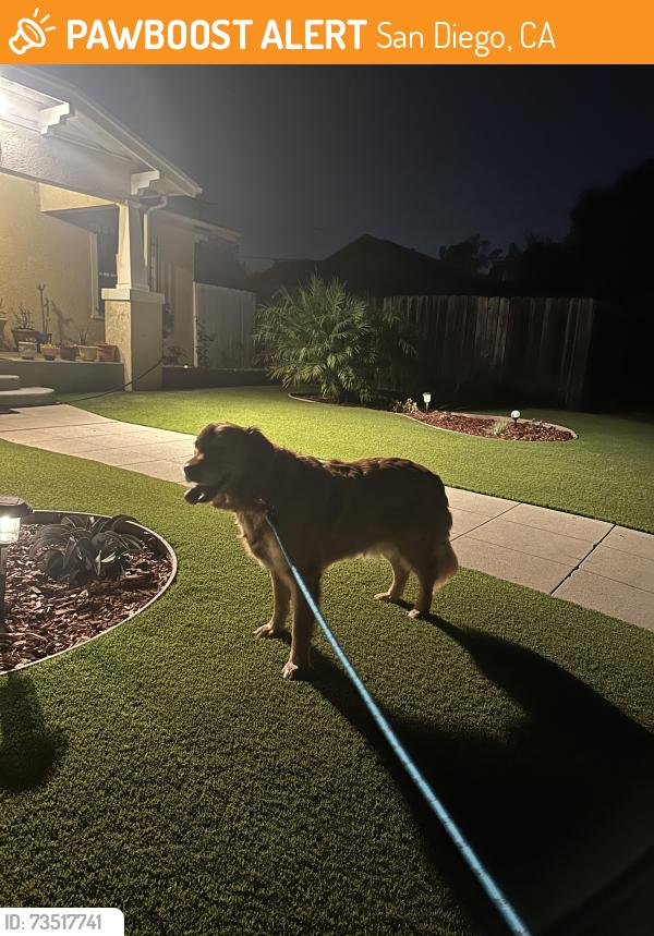 Found/Stray Female Dog last seen Herman and landis, San Diego, CA 92104