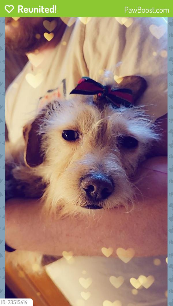 Reunited Female Dog last seen Leaksville United Methodist Church / Jay Street, Eden, NC 27288