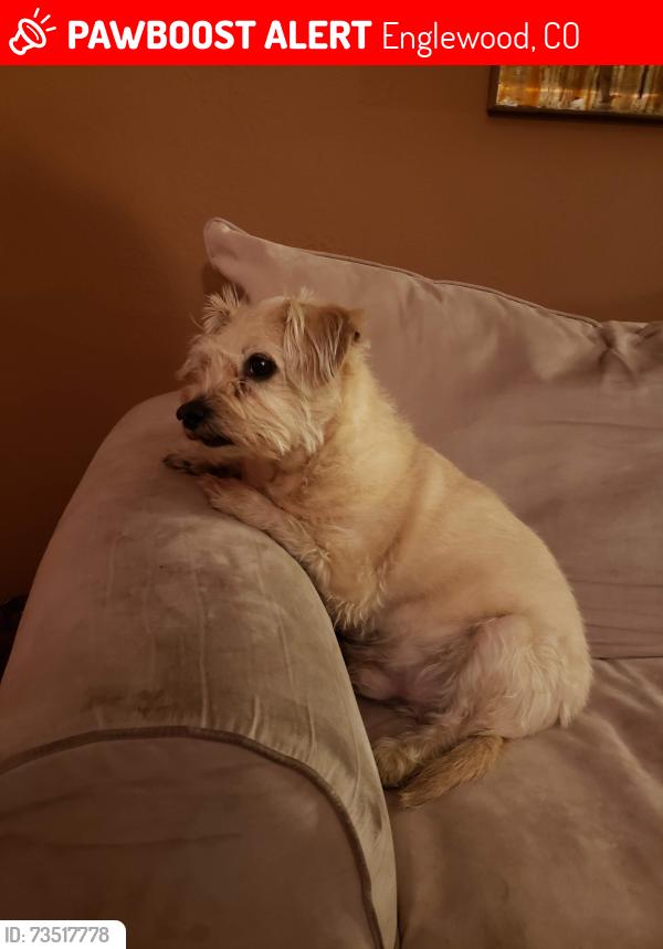 Lost Male Dog last seen Dartmouth and Fox, Englewood, CO 80110