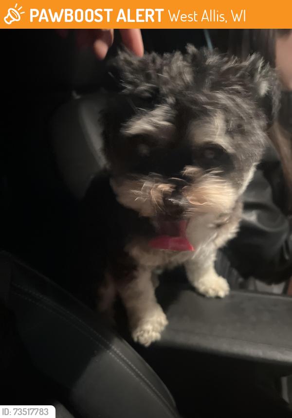 Found/Stray Female Dog last seen Near 72nd St and Madison Ave, West Allis, WI 53214