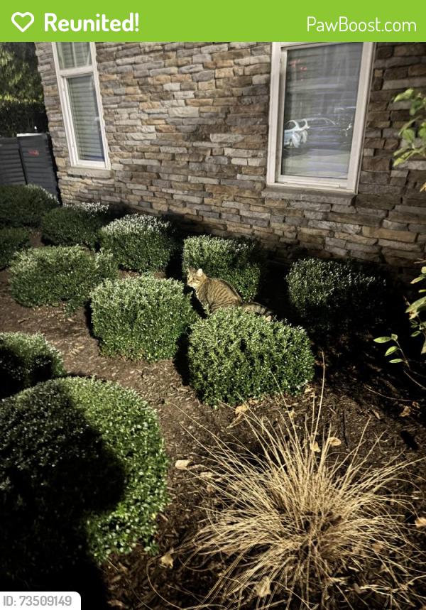 Reunited Unknown Cat last seen Near boulders lake Ter, Richmond, VA 23225