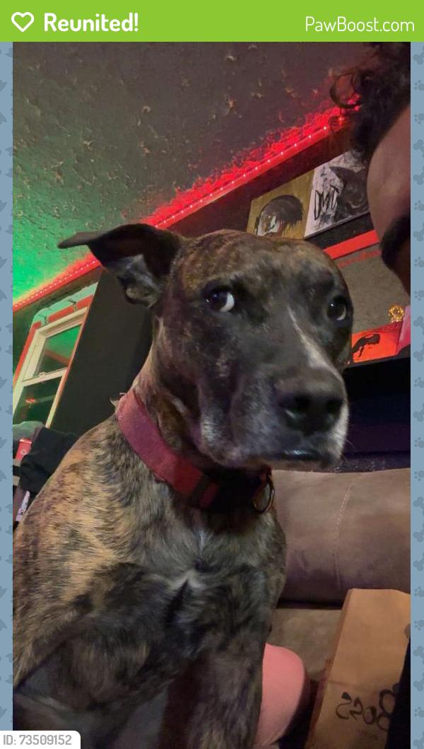 Reunited Male Dog last seen There is a Kroger just down the street off Southport and bluff, Indianapolis, IN 46217