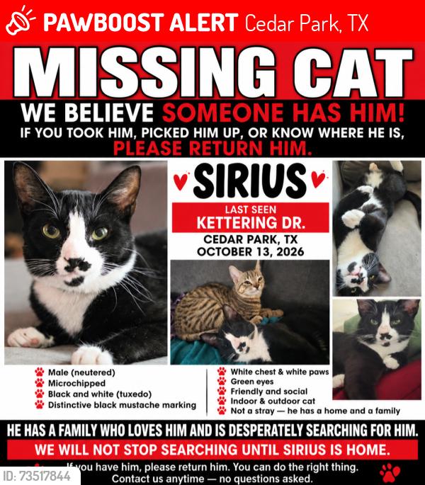 Lost Male Cat last seen Leander Highschool, Cedar Park, TX 78613