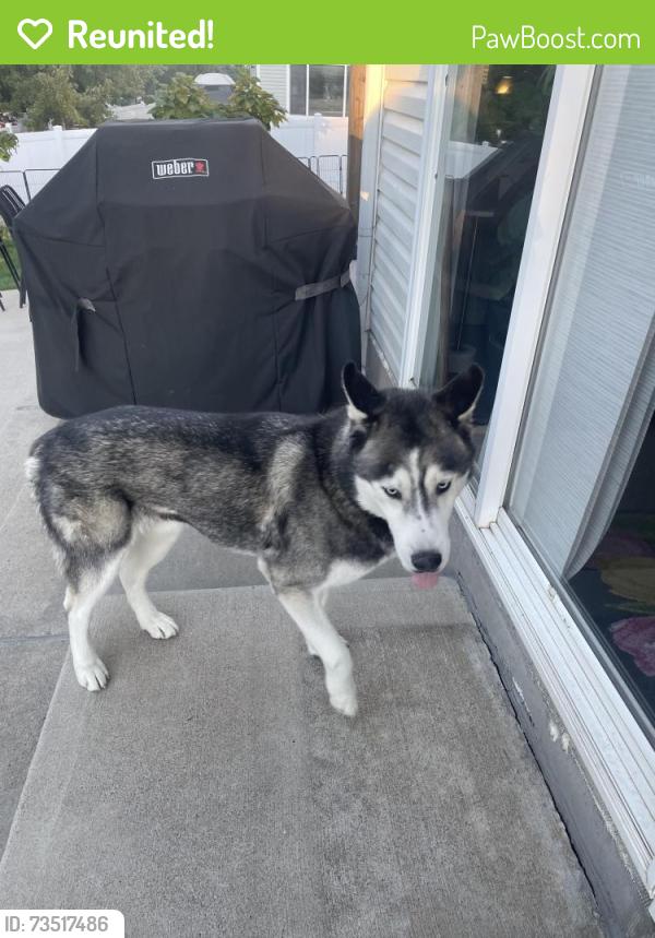 Reunited Male Dog last seen 49th and Flanders, Denver, CO 80249