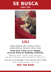Lost Male Cat last seen State st, Redding, CA 96001