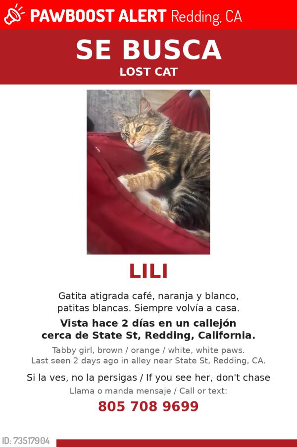 Lost Male Cat last seen State st, Redding, CA 96001
