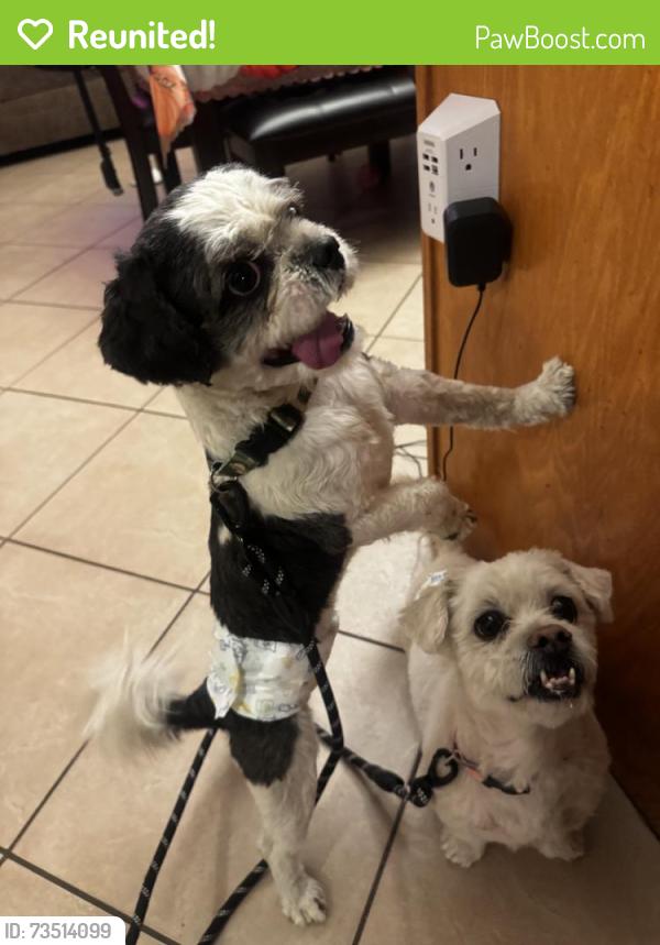 Reunited Unknown Dog last seen Bennington Dr, Victorville, CA 92392, USA, Victorville, CA 92392