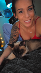 Reunited Female Cat last seen 116th Ave N and Jersey Ave N. Champlin Mn, Champlin, MN 55316