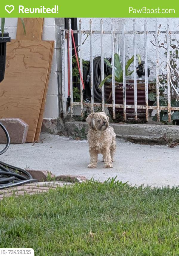 Reunited Unknown Dog last seen Arlington/ West 29th place, Los Angeles, CA 90018
