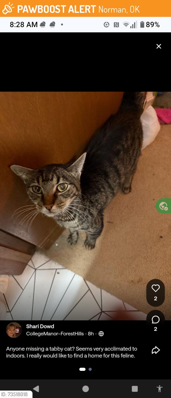 Found/Stray Male Cat last seen South Berry & Imhoff, Norman, OK 73019