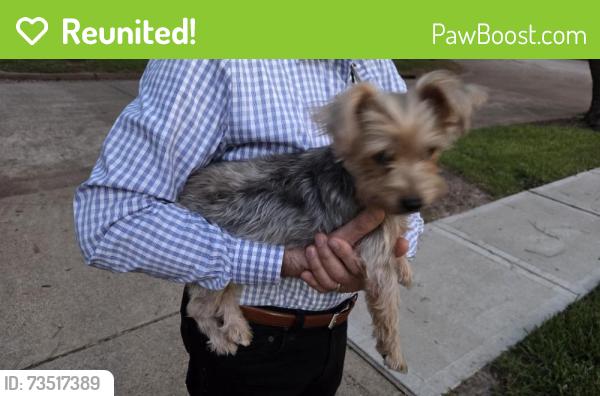 Reunited Male Dog last seen Near Blue Rose Dr, Missouri City, TX 77459, USA, Missouri City, TX 77459