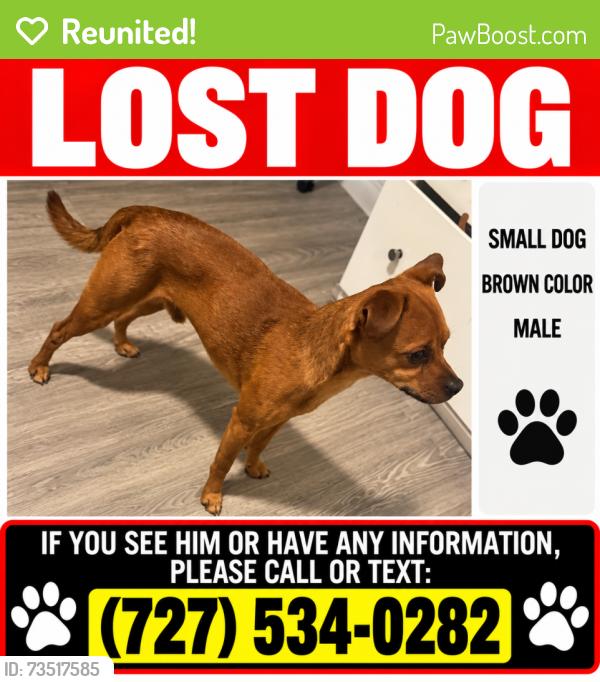 Reunited Male Dog last seen Near Barrington ln port Richey, Port Richey, FL 34668