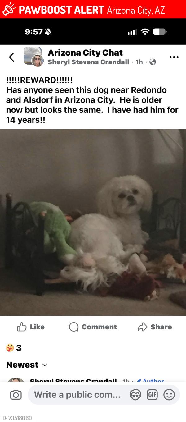 Lost Male Dog last seen Redondo and Alsdorf, Arizona City, AZ 85123