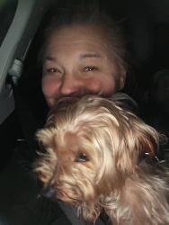 Reunited Male Dog last seen 75th and 9th Ave NE, Seattle, WA 98115