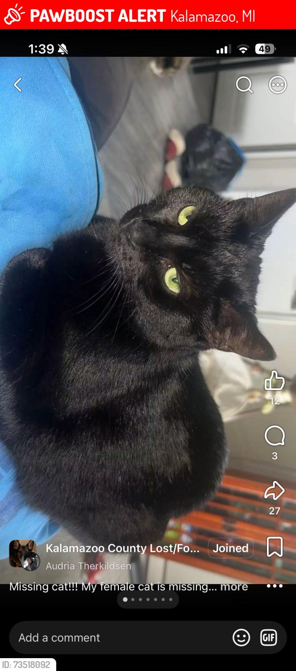 Lost Female Cat last seen 9th street and stadium drive, Kalamazoo, MI 49009