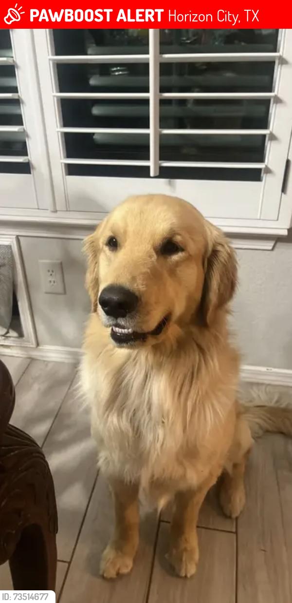 Lost Male Dog last seen Eastlake on Payton and Rojas, Horizon City, TX 79928