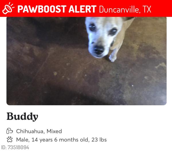 Lost Male Dog last seen Cedar ridge drive, Duncanville, TX 75116