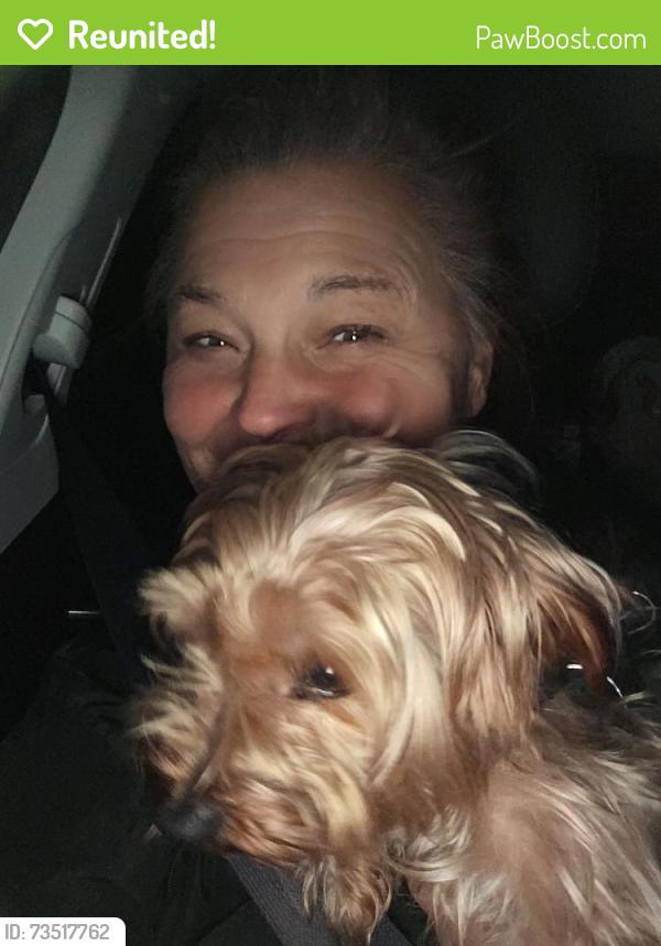 Reunited Male Dog last seen 75th and 9th Ave NE, Seattle, WA 98115