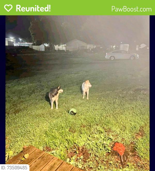 Reunited Male Dog last seen Caseys, Jay, OK 74346