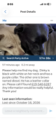 Lost Male Dog last seen Hunte and Silver Springs, Chula Vista, CA 91915