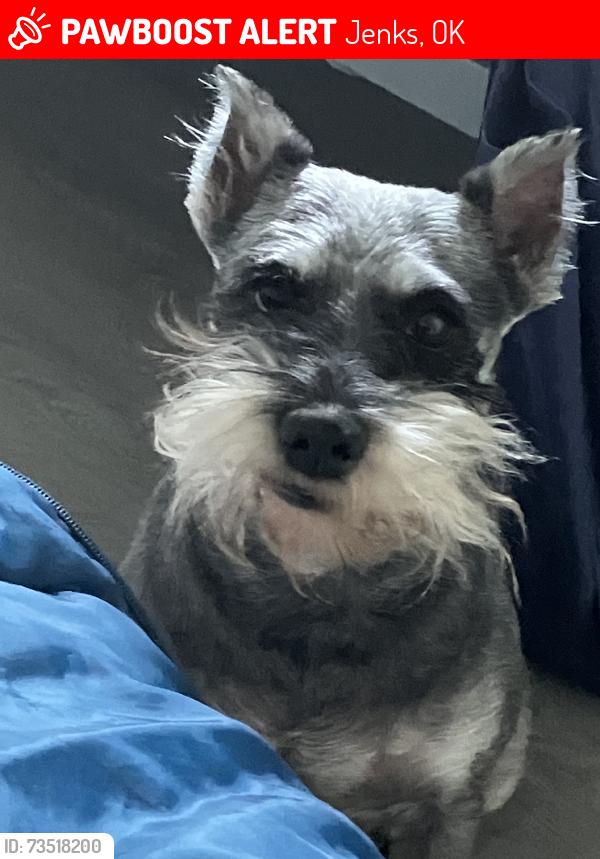Lost Female Dog last seen Bretling villiage homes, Jenks, OK 74037