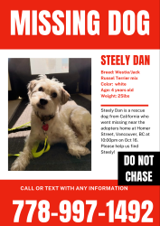 Reunited Male Dog last seen Coopers park, Vancouver, BC 