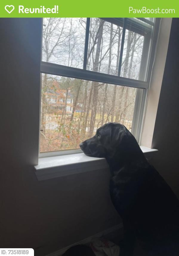 Reunited Male Dog last seen Near Alcovy Way, Covington, GA 30014