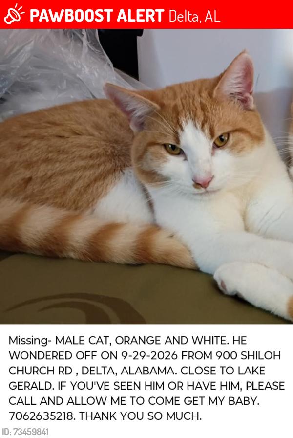 Lost Male Cat last seen Lake Gerald, Delta, AL 36258