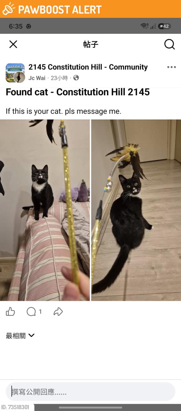 Found/Stray Unknown Cat last seen Near Caloola Road, Constitution Hill, NSW 2145