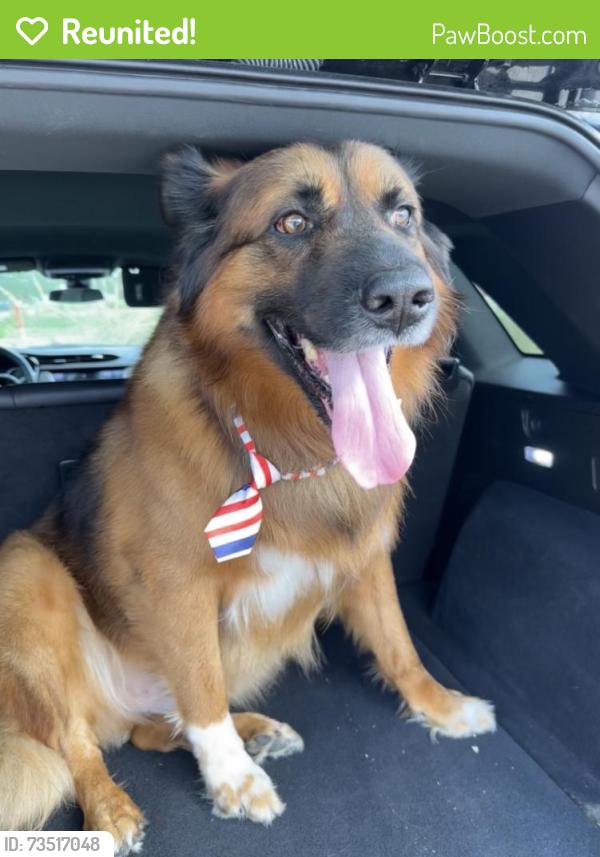 Reunited Male Dog last seen Near Barkerview Ct, Houston, TX 77084, USA, Houston, TX 77084