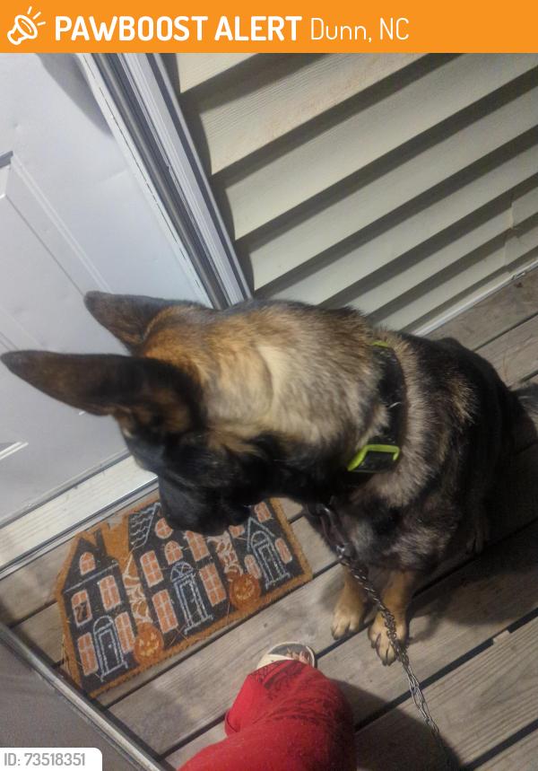 Found/Stray Male Dog last seen South mckay ave, Dunn, NC 28334