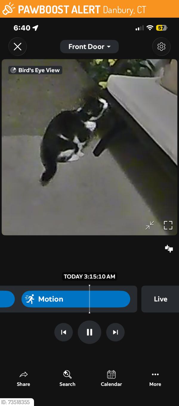 Found/Stray Unknown Cat last seen Padanaram Rd, Danbury, CT 06811