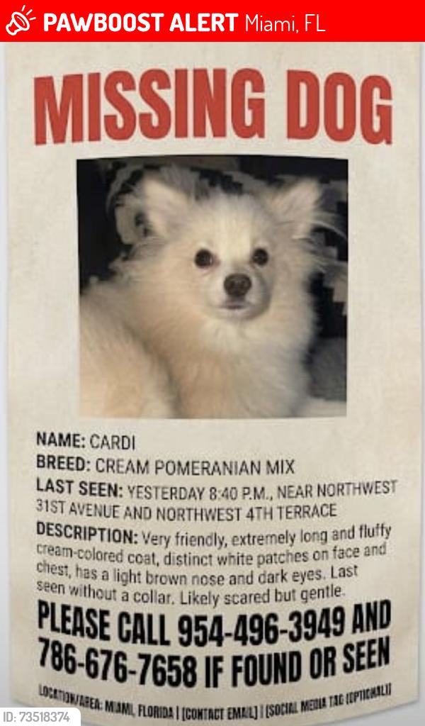 Lost Male Dog last seen Near nw 31 ave, Miami, FL 33125