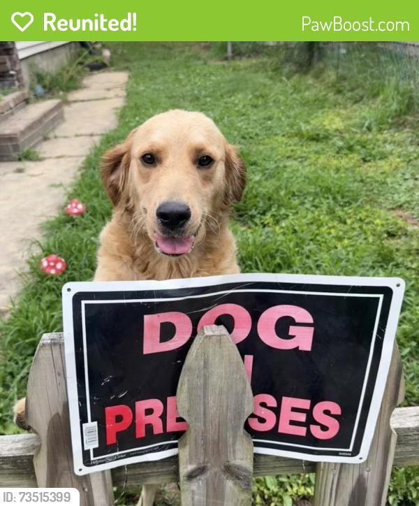 Reunited Female Dog last seen South Fleming and west Washington, Indianapolis, IN 46241
