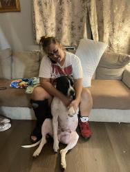 Lost Male Dog last seen White birch dr, Covington, GA 30016