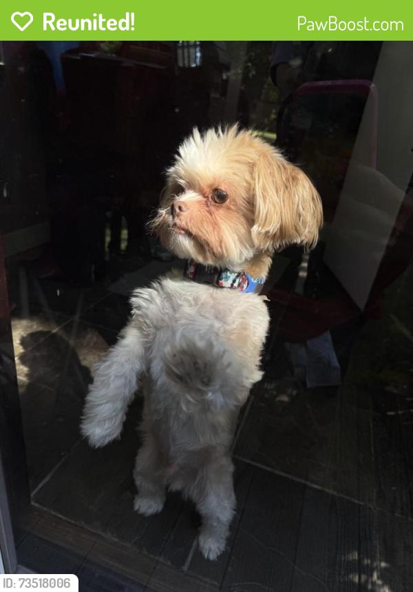 Reunited Male Dog last seen Irving Park Pulaski, Chicago, IL 60641