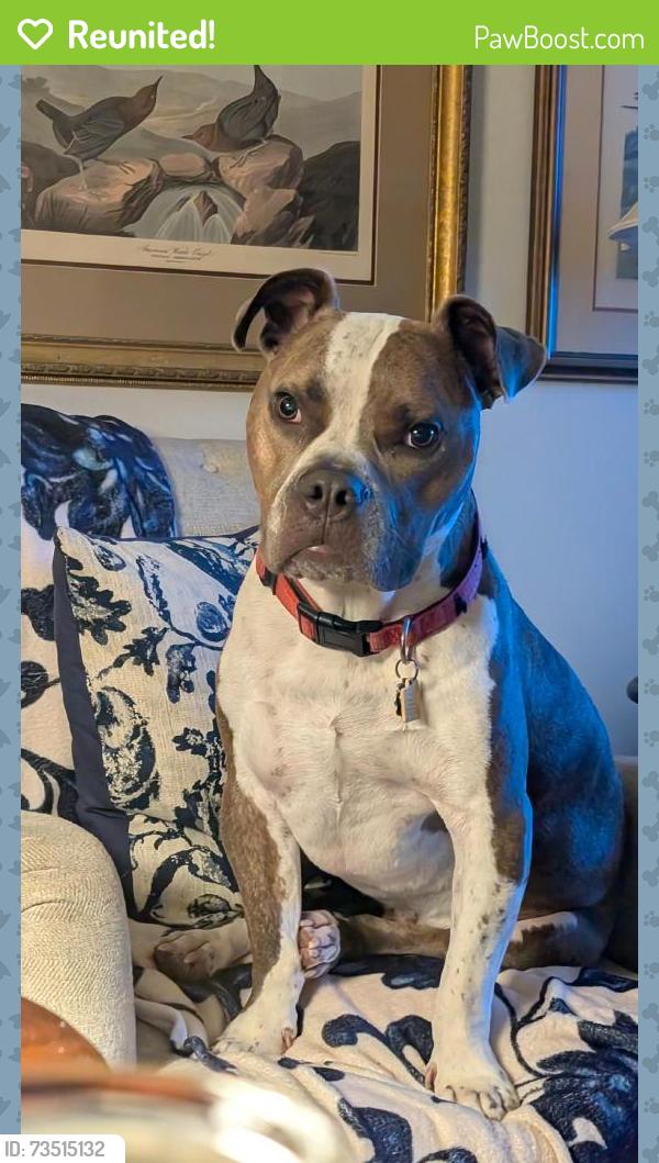 Reunited Male Dog last seen Near W PEACHTREE ST, NORCROSS, GA 30071, Norcross, GA 30071